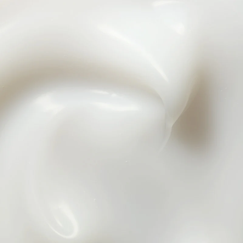 Miniatuur 6
