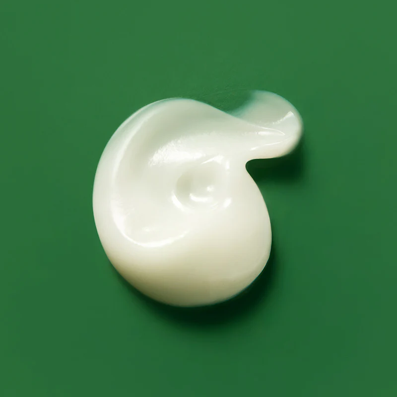 Miniatuur 5