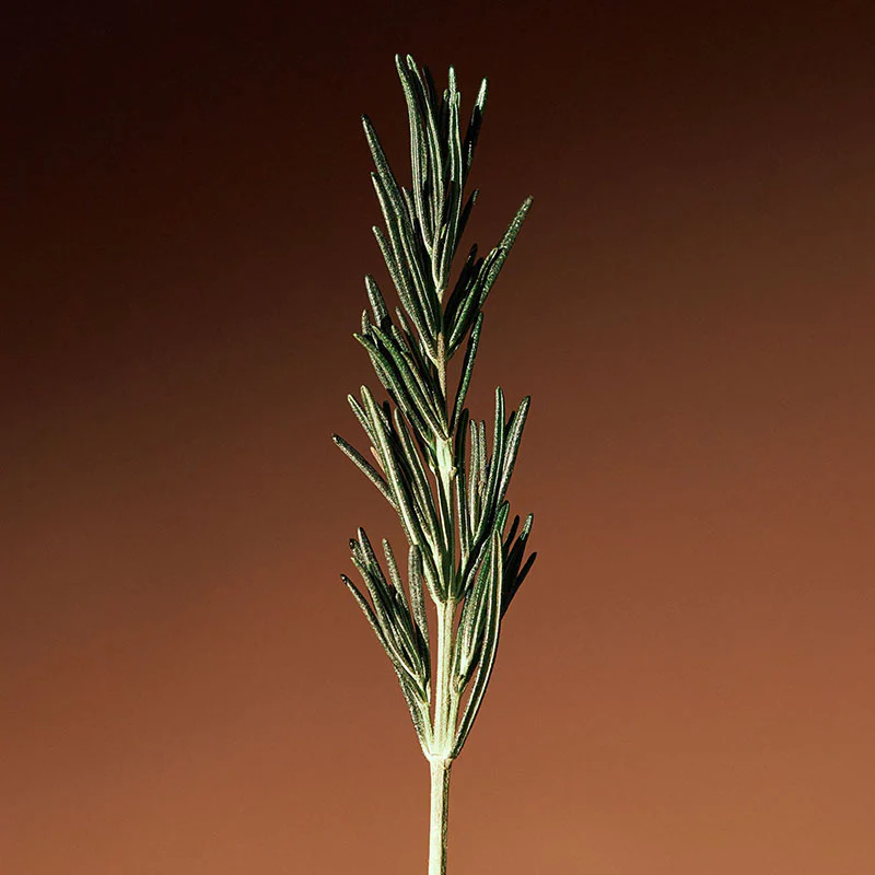 Miniatuur 4