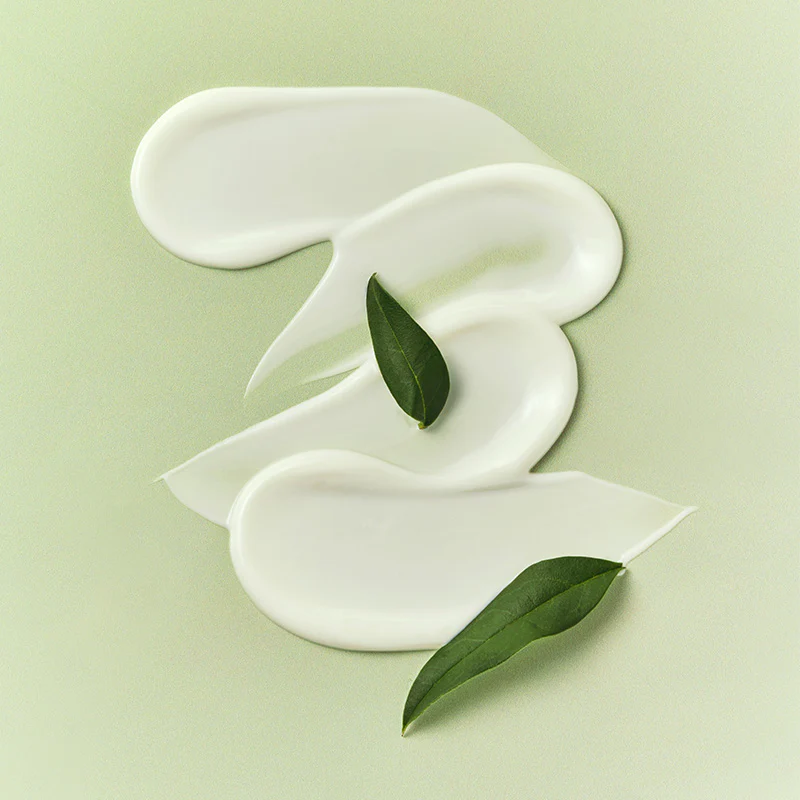 Miniatuur 5