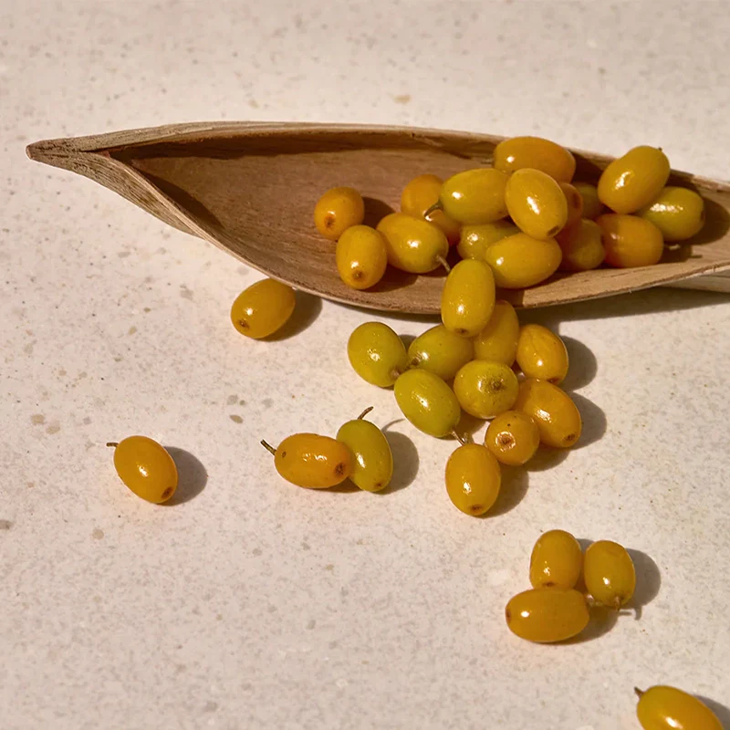 Miniatuur 7