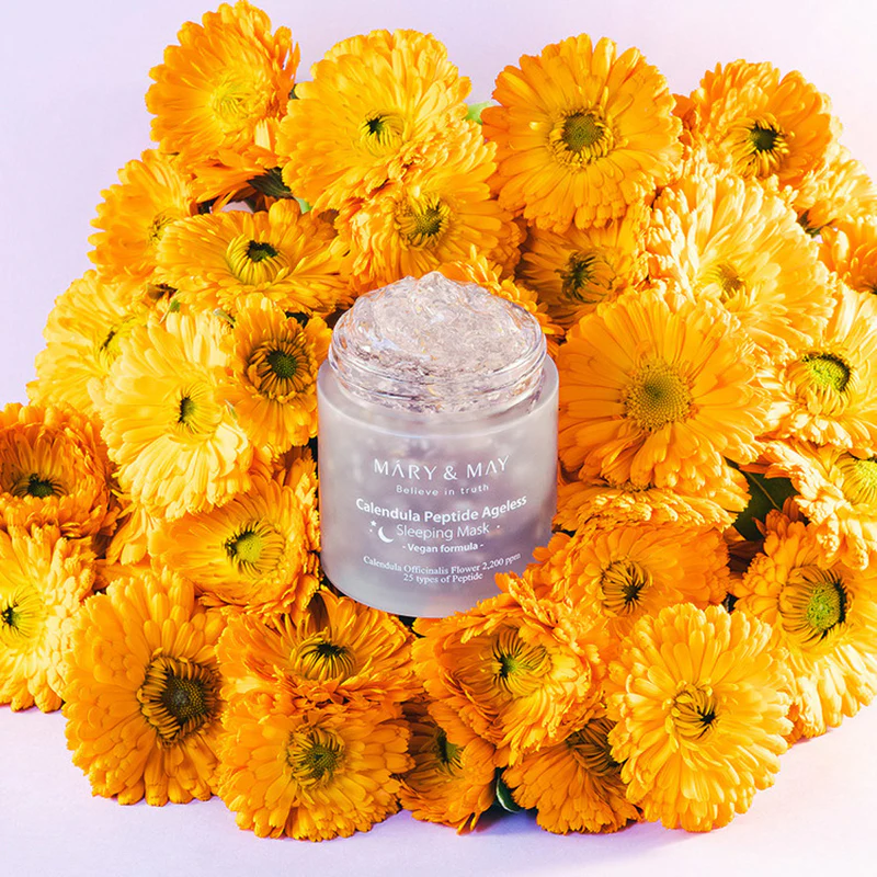 Miniatuur 7