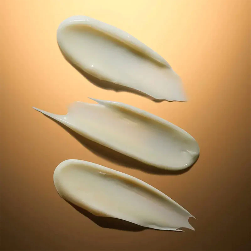 Miniatuur 3