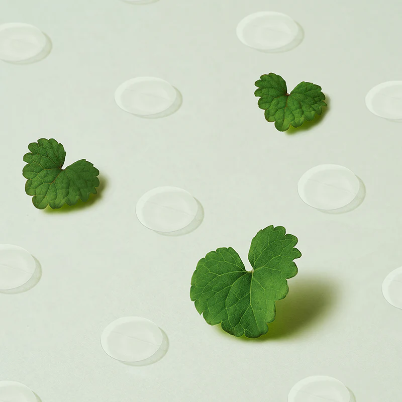 Miniatuur 4