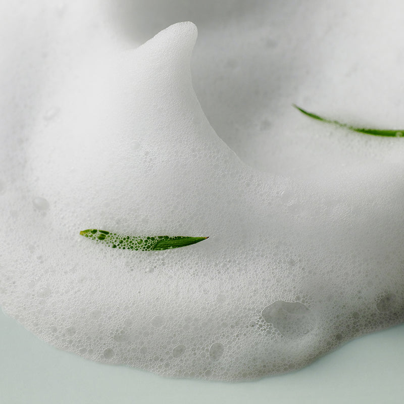 Miniatuur 4