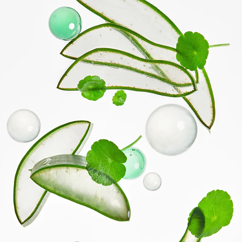 Miniatuur 10