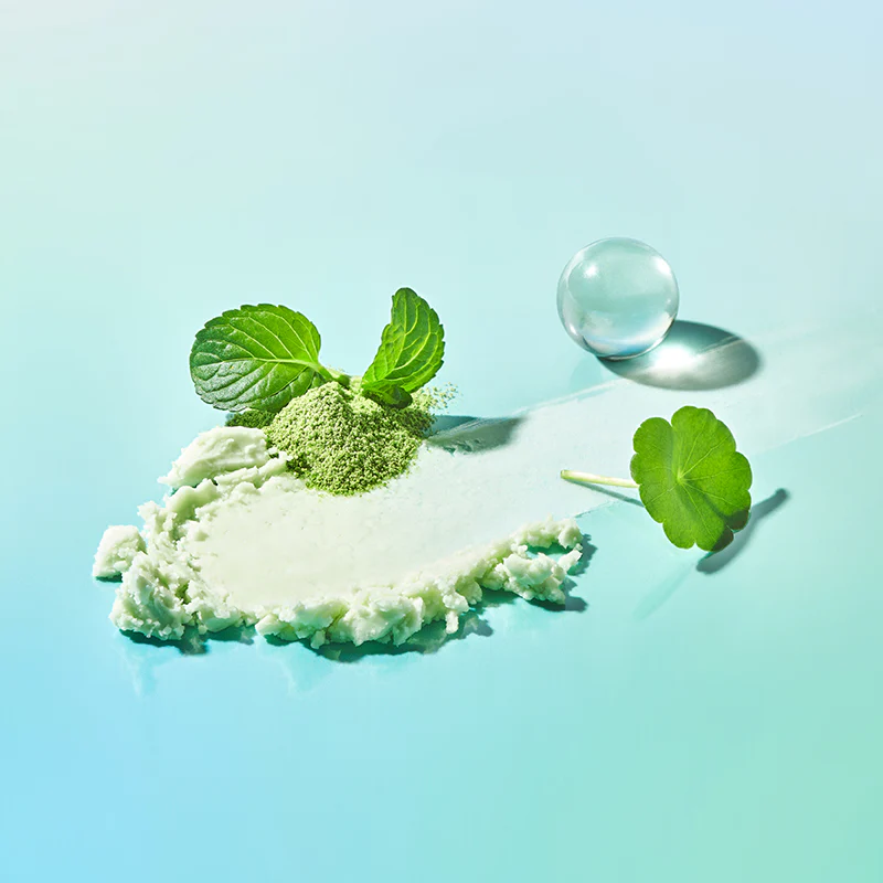 Miniatuur 4
